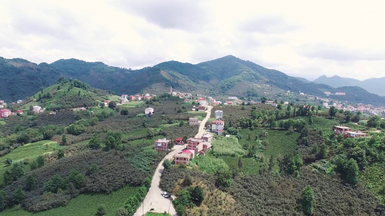 Giresun Güce RS Servis ProSer Otomobil Hasar Yönetimi