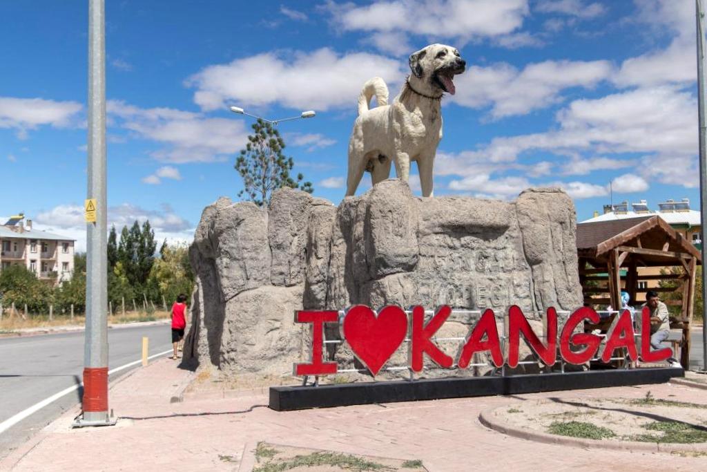 Sivas Kangal RS Servis ProSer Otomobil Hasar Yönetimi