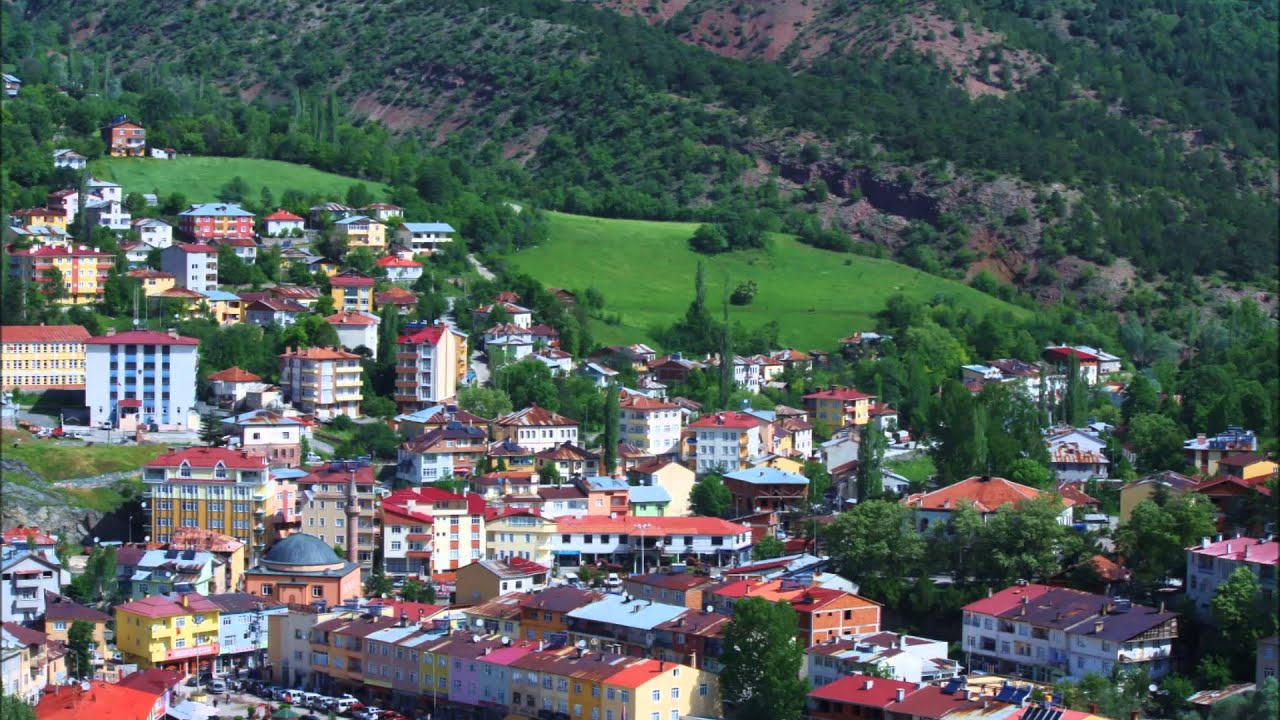 Ordu Mesudiye RS Servis ProSer Otomobil Hasar Yönetimi