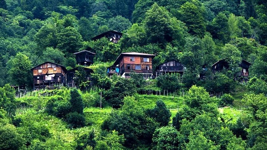 Rize Çamlıhemşin RS Servis ProSer Otomobil Hasar Yönetimi