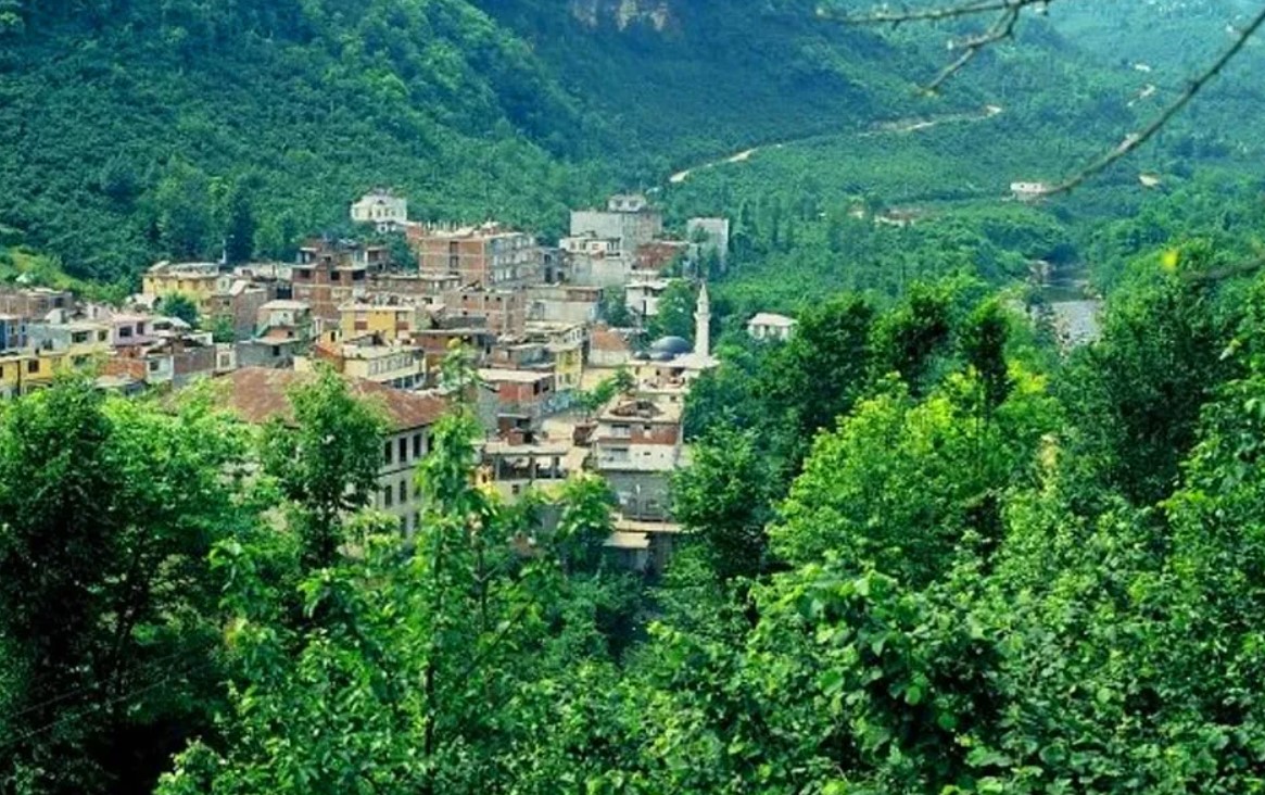 Giresun Çanakçı RS Servis ProSer Otomobil Hasar Yönetimi