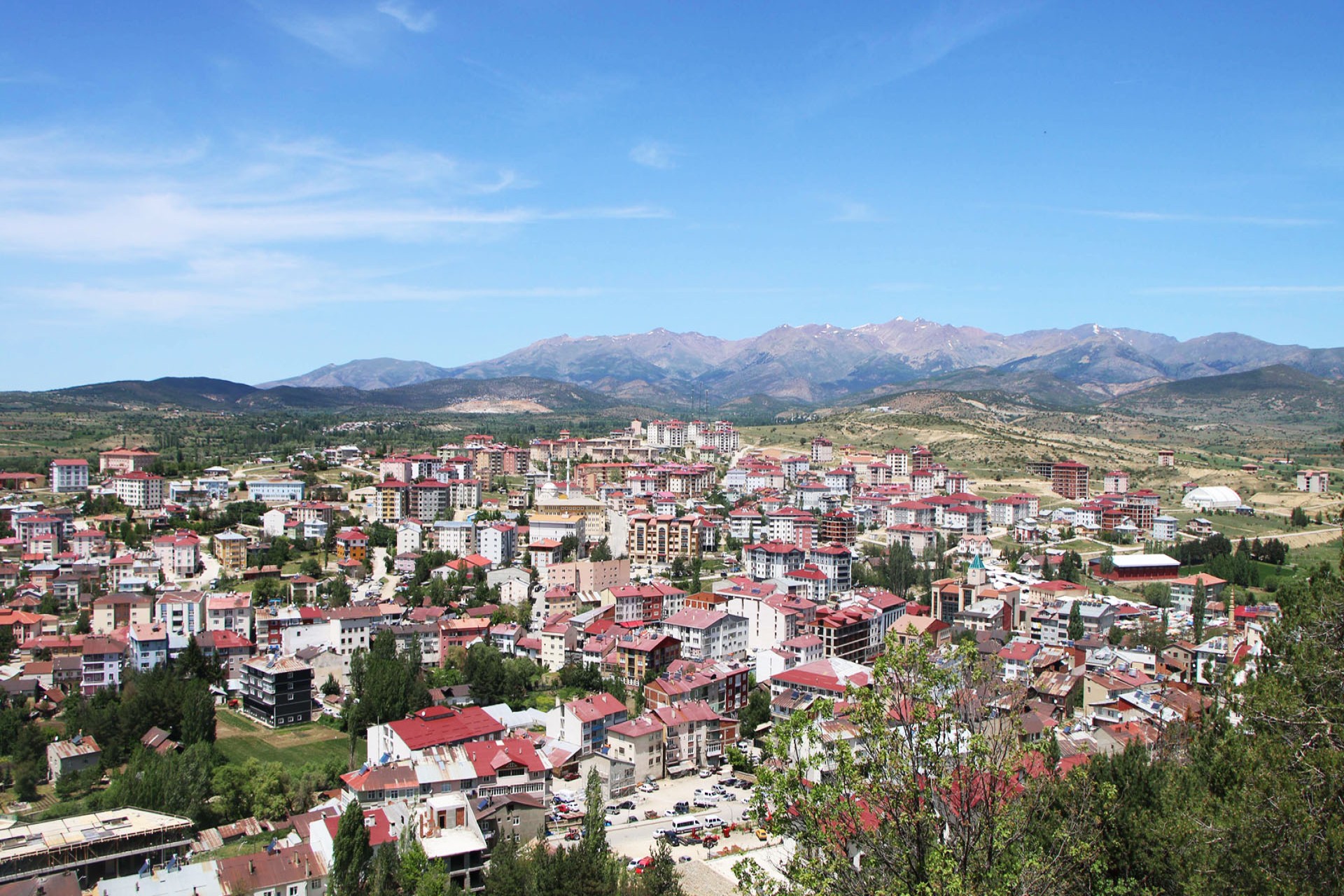 Gümüşhane Şiran RS Servis ProSer Otomobil Hasar Yönetimi
