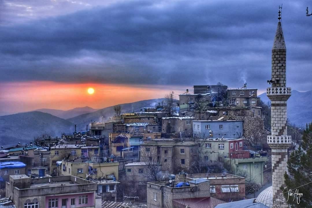 Siirt Şirvan RS Servis ProSer Otomobil Hasar Yönetimi