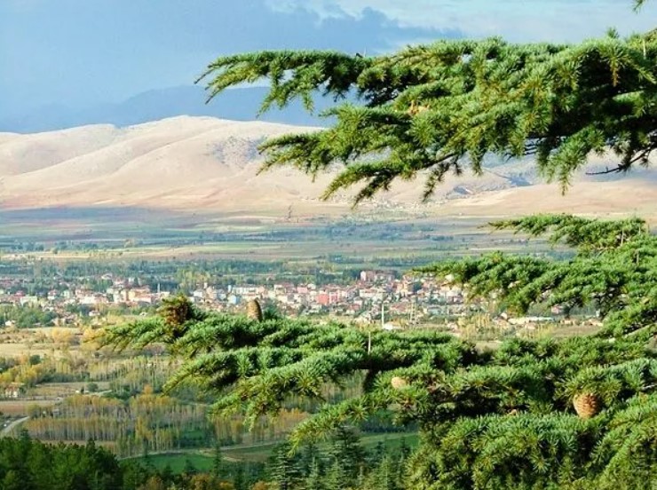 Isparta Şarkikaraağaç RS Servis ProSer Otomobil Hasar Yönetimi