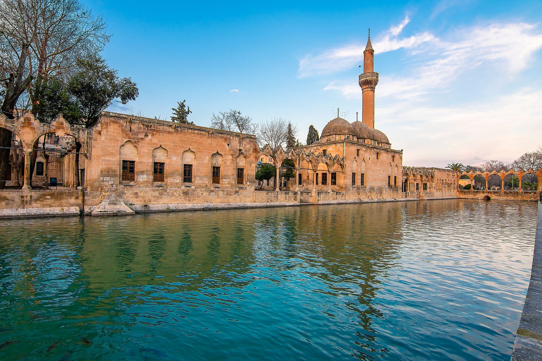 Şanlıurfa İli RS Servis ProSer Otomobil Hasar Yönetimi